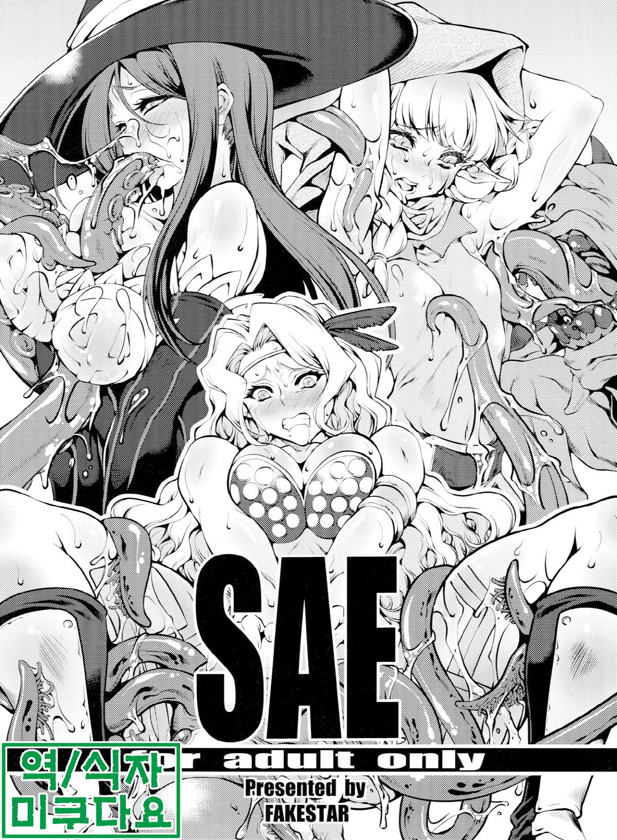 Sae page 1 full