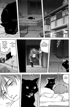Neko no Ongaeshi | A Cat Repaying Kindness