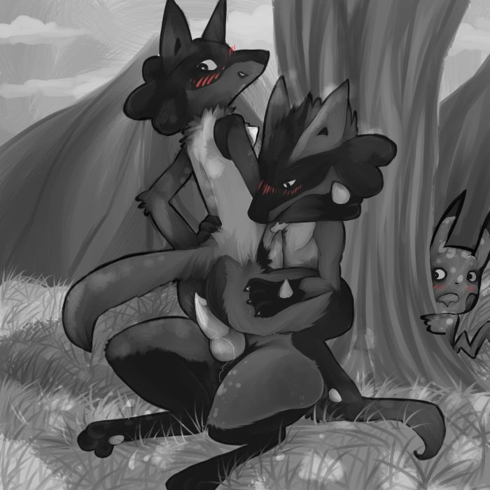 Male Lucario page 7 full