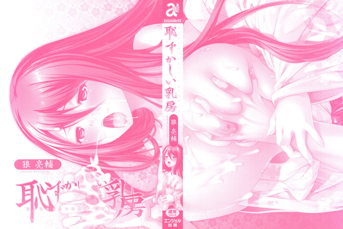 Hazukashii Chibusa Ch. 1-5 page 3 full
