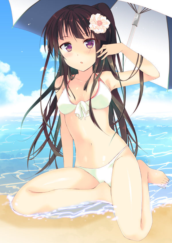 Log Horizon Pack page 1 full