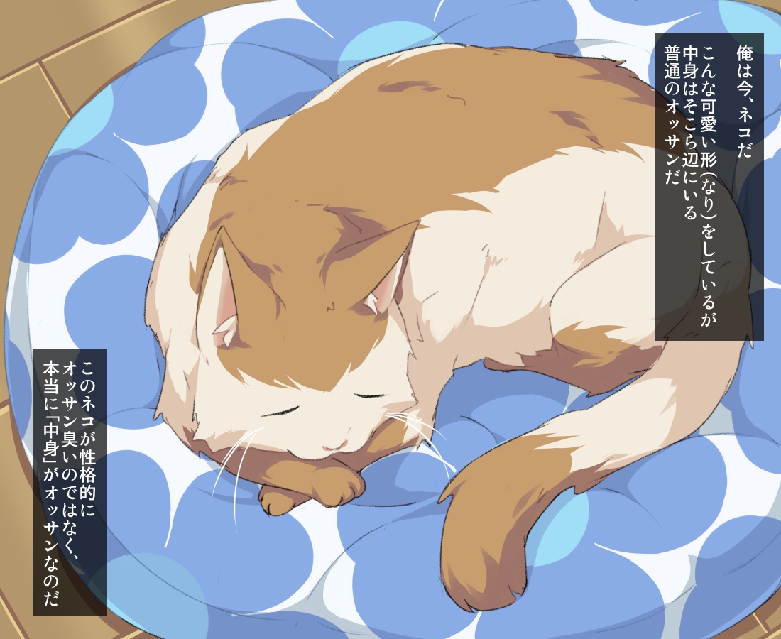 Saenai Ossan no Ore ga Kyonyuu jk no Kaineko de Shi Houdai na Ken ni Tsuite page 4 full