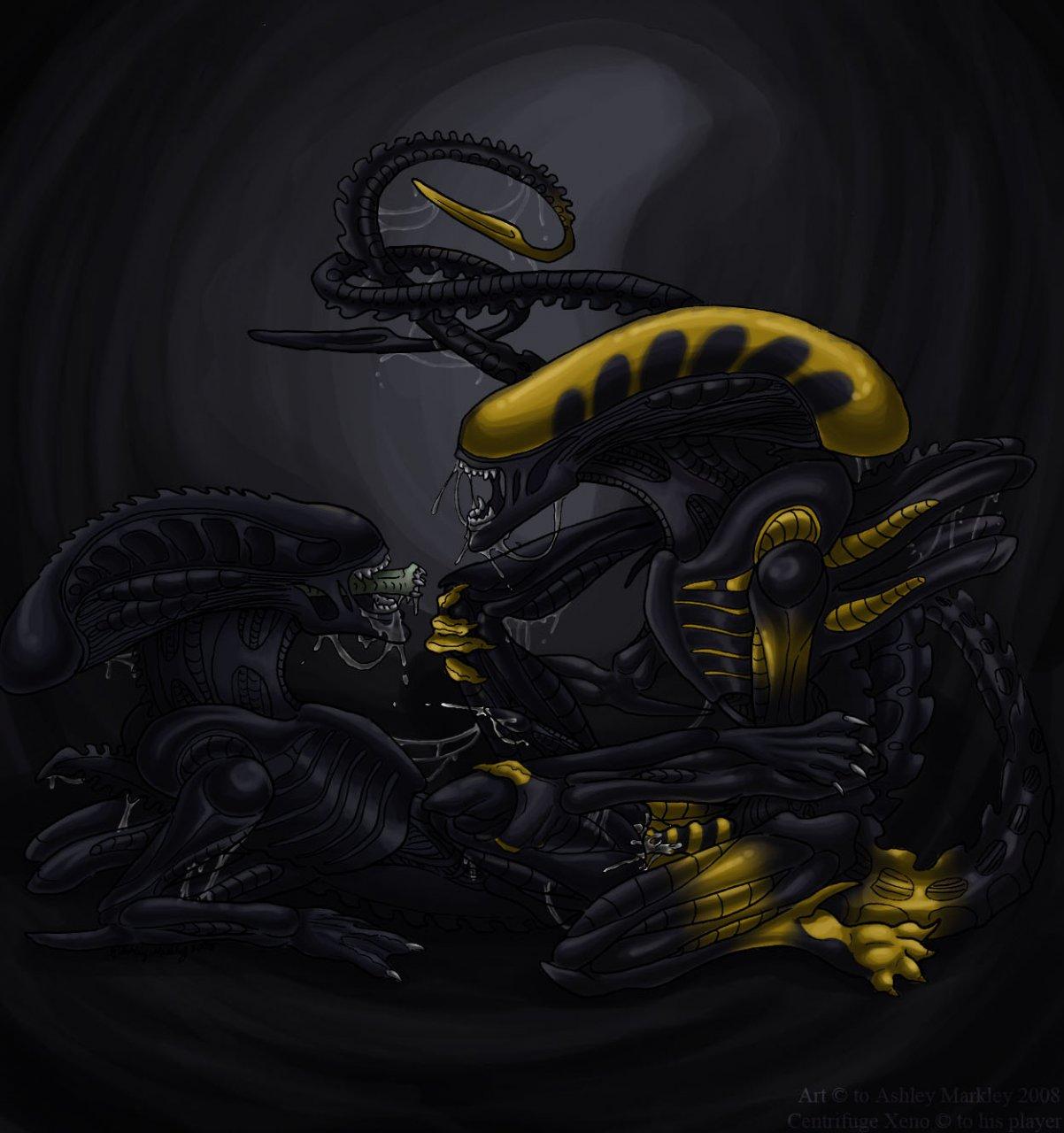 Xenomorphs page 6 full