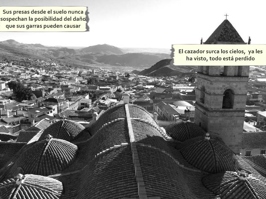 Proyecto Schwan  Capitulo 1: El Halcón page 3 full