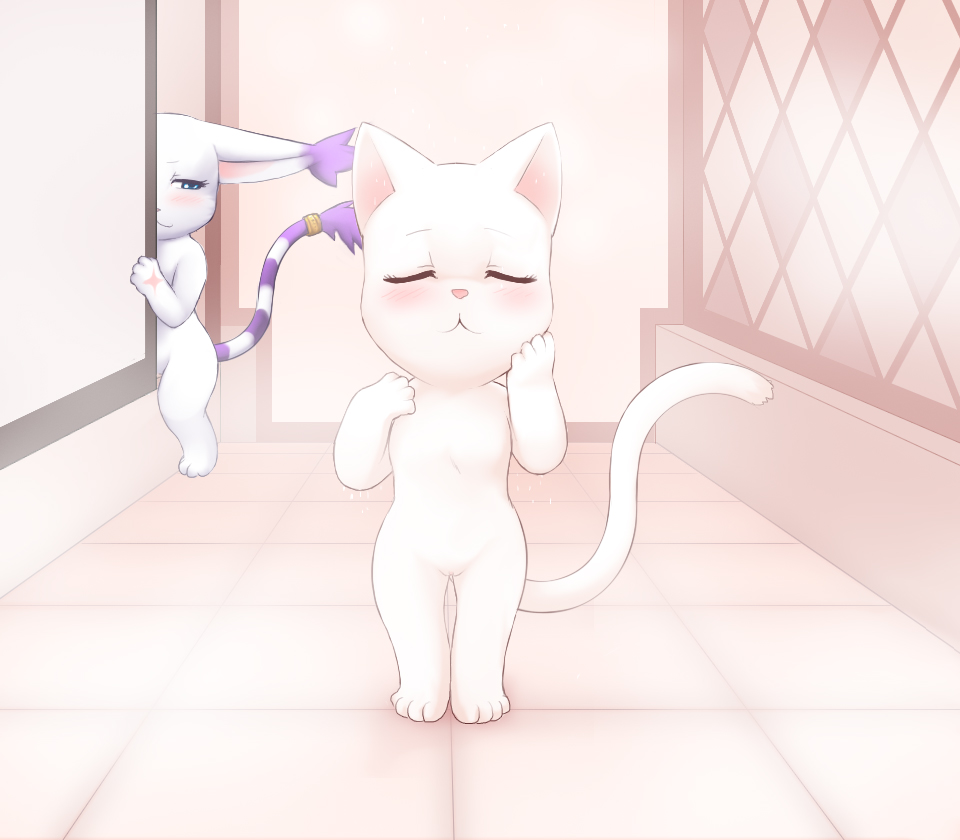Pussy Lessons  LKNOFansub page 2 full