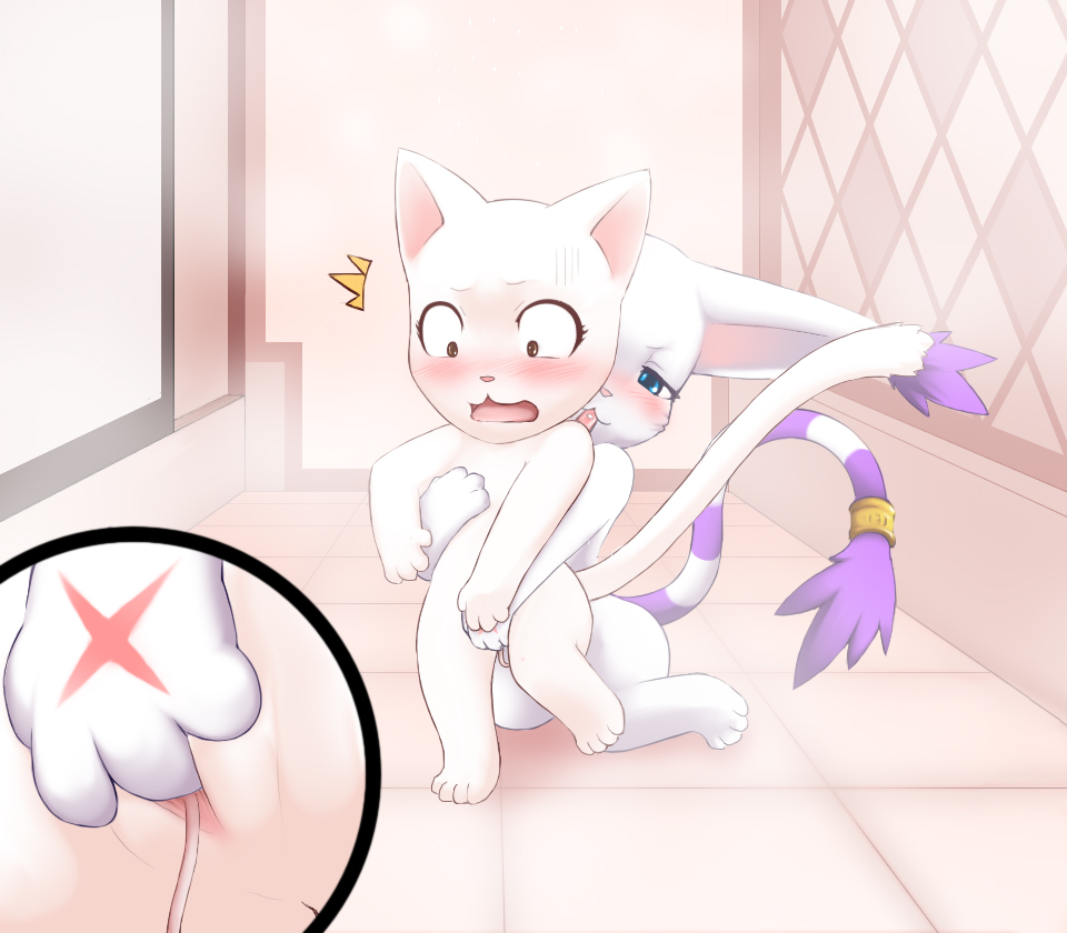 Pussy Lessons  LKNOFansub page 3 full
