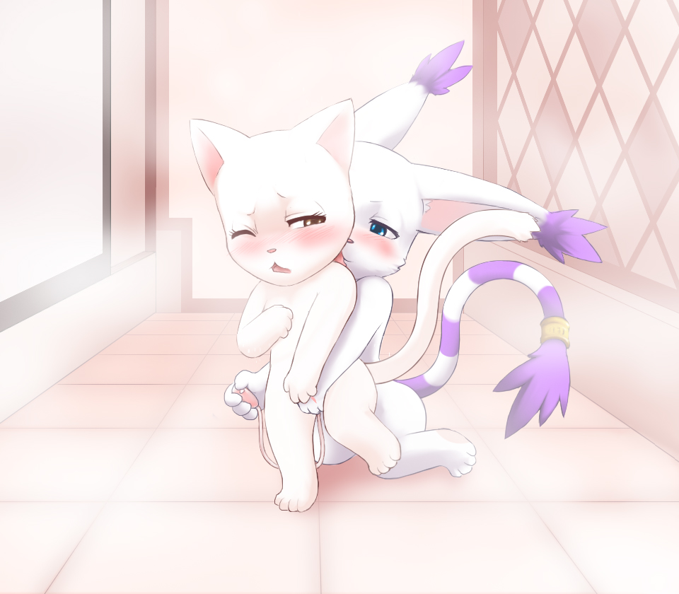 Pussy Lessons  LKNOFansub page 4 full