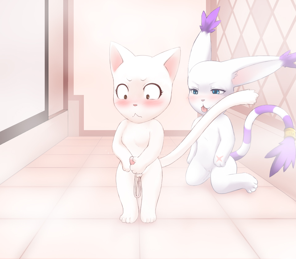 Pussy Lessons  LKNOFansub page 5 full