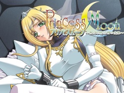 Princess Moon ～Saint Jewel Knights no Junan ～