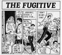 The Fugitive