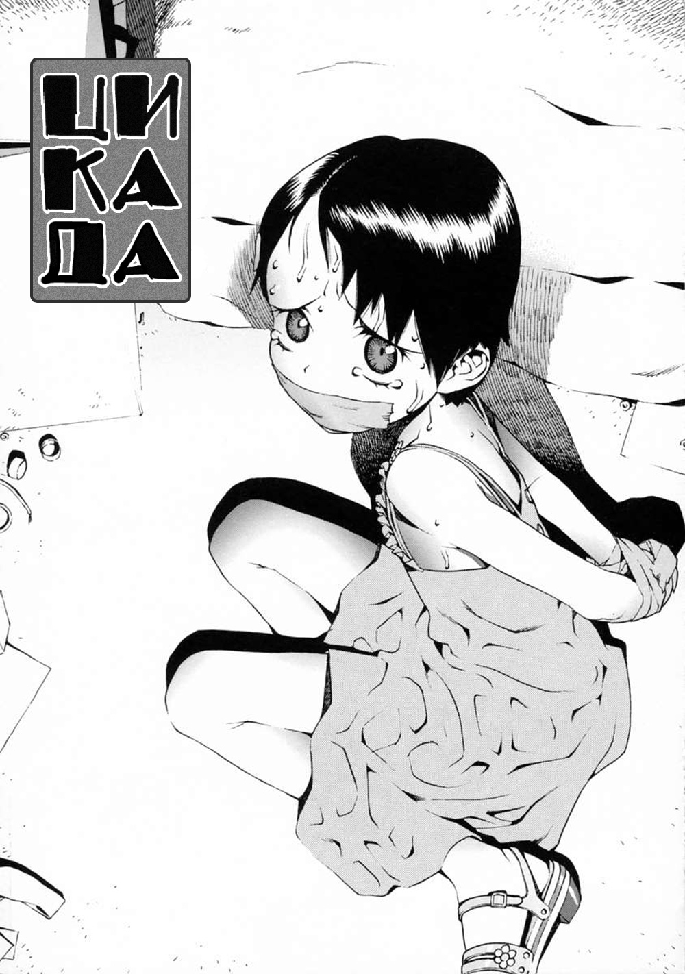 CICADA page 1 full
