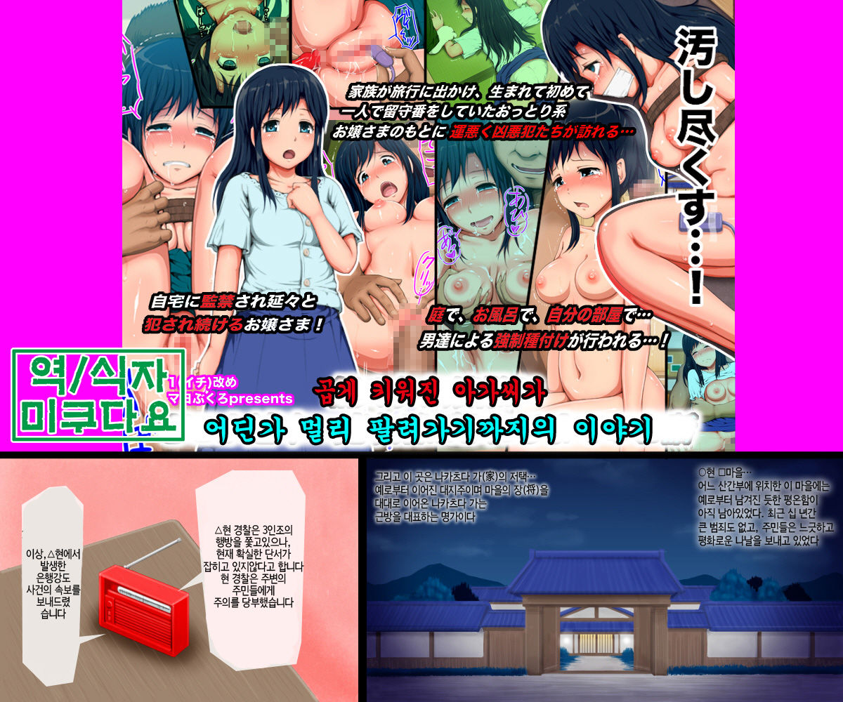 Hakoiri Ojou-sama ga Dokoka Tooku e Uritobasareru Made no Ohanashi page 1 full