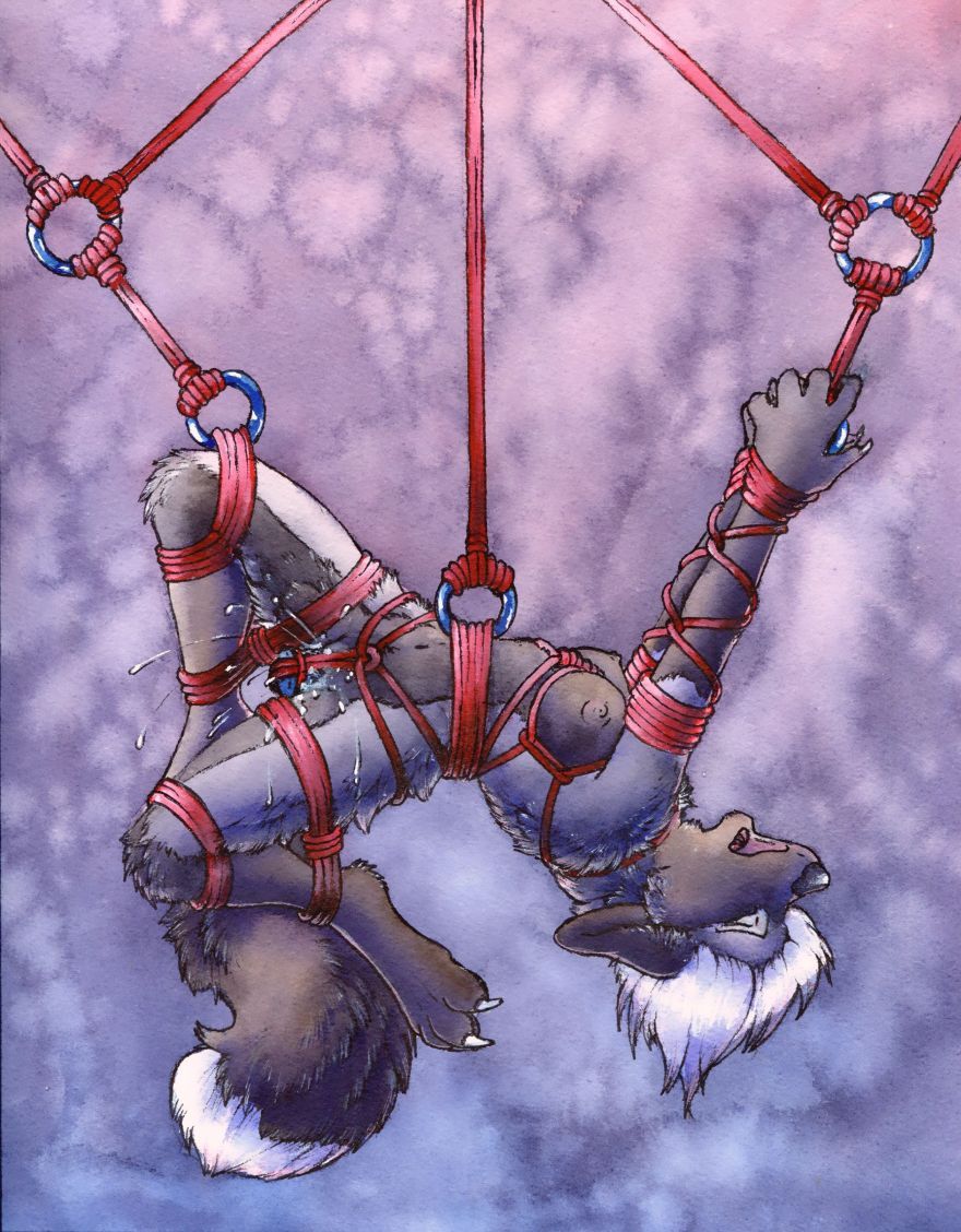 Furry bondage 13 page 3 full
