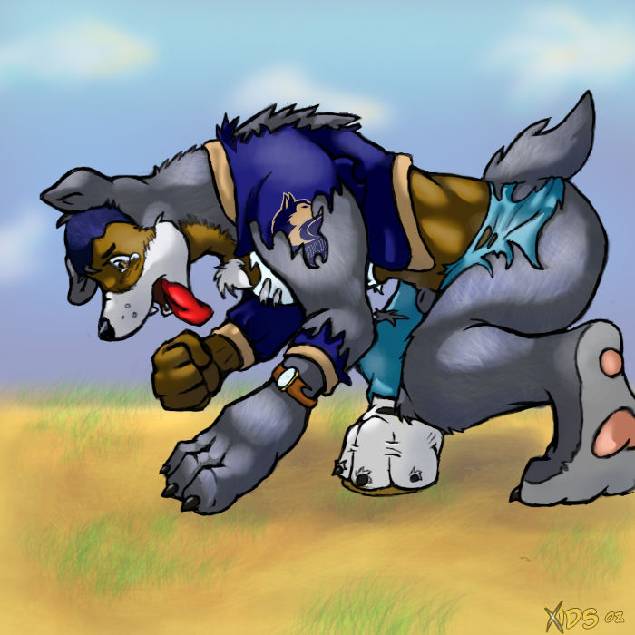 xids Gallary page 1 full