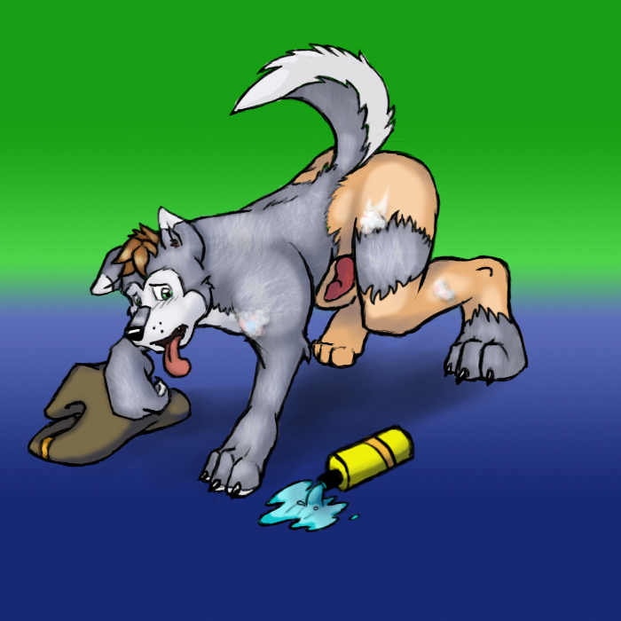 xids Gallary page 2 full