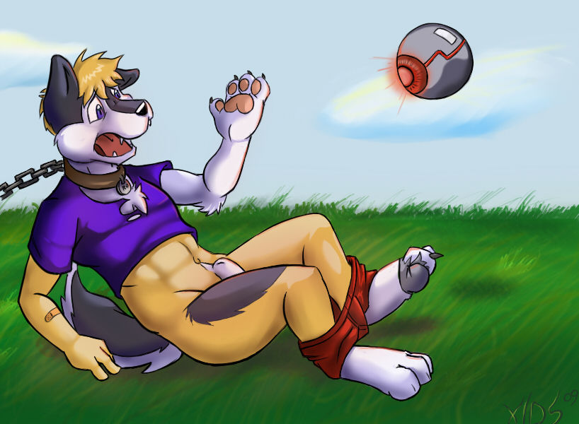 xids Gallary page 8 full