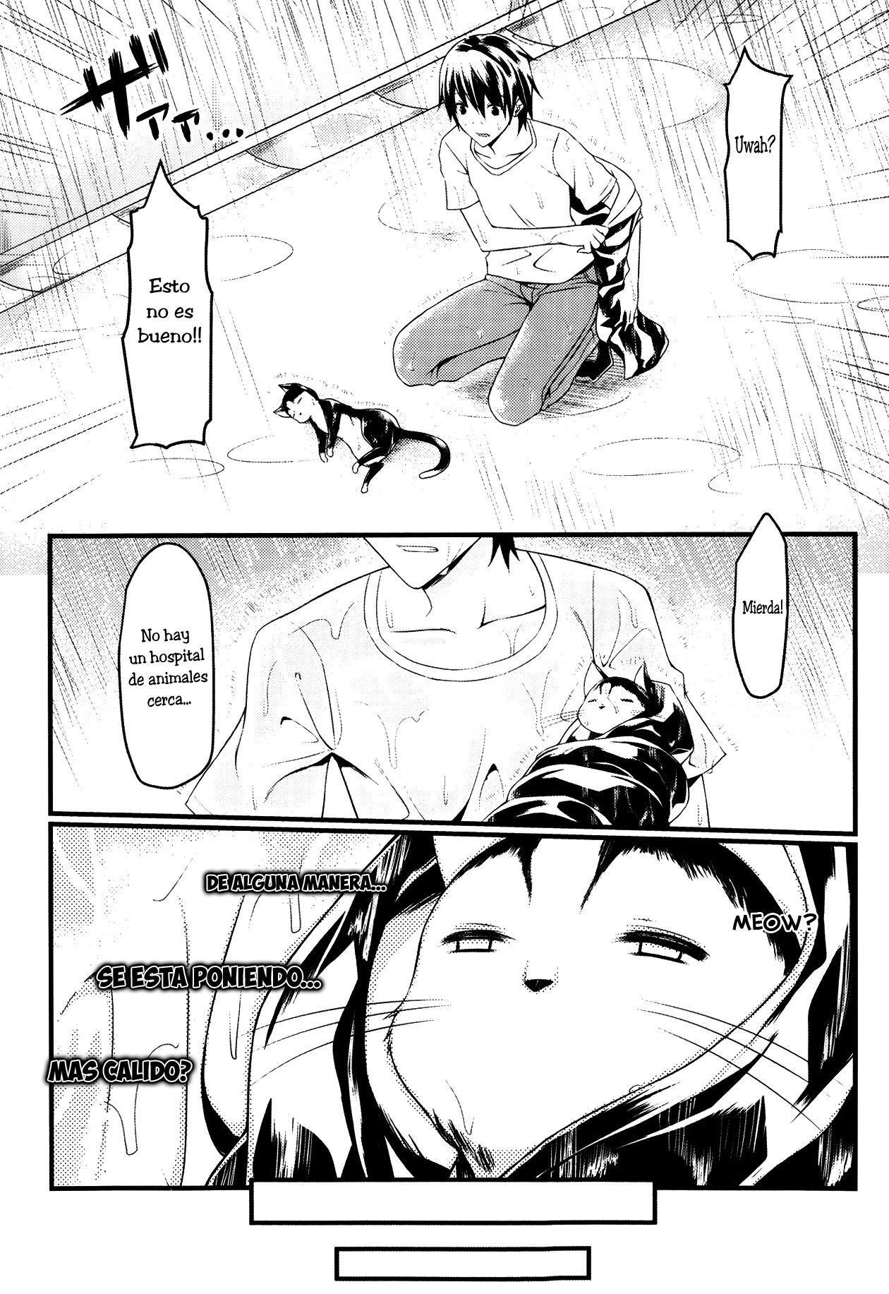 CatWooOman ~ Neko to Anata no Monogatari ~ page 2 full