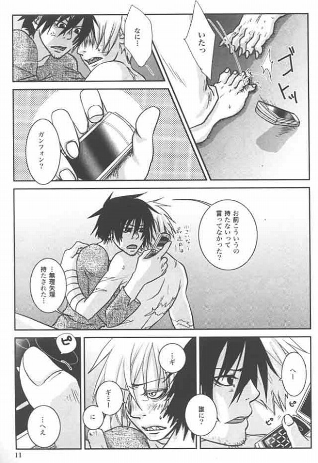 Zwinger page 9 full