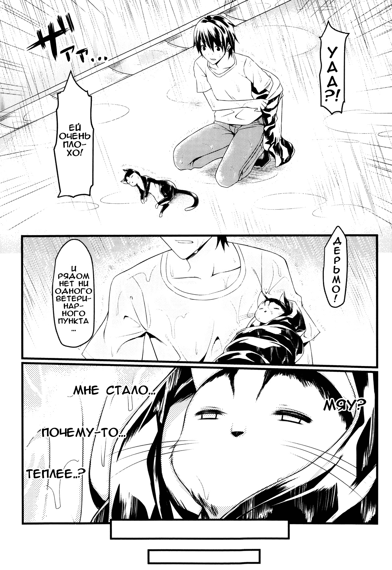 CatWooOman ~ Neko to Anata no Monogatari ~ page 2 full