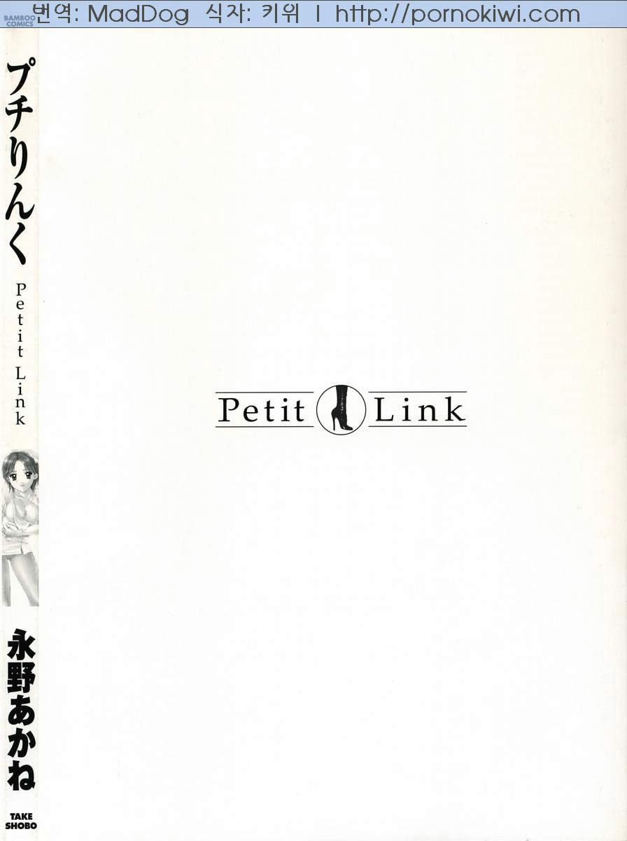 Petit Link page 3 full