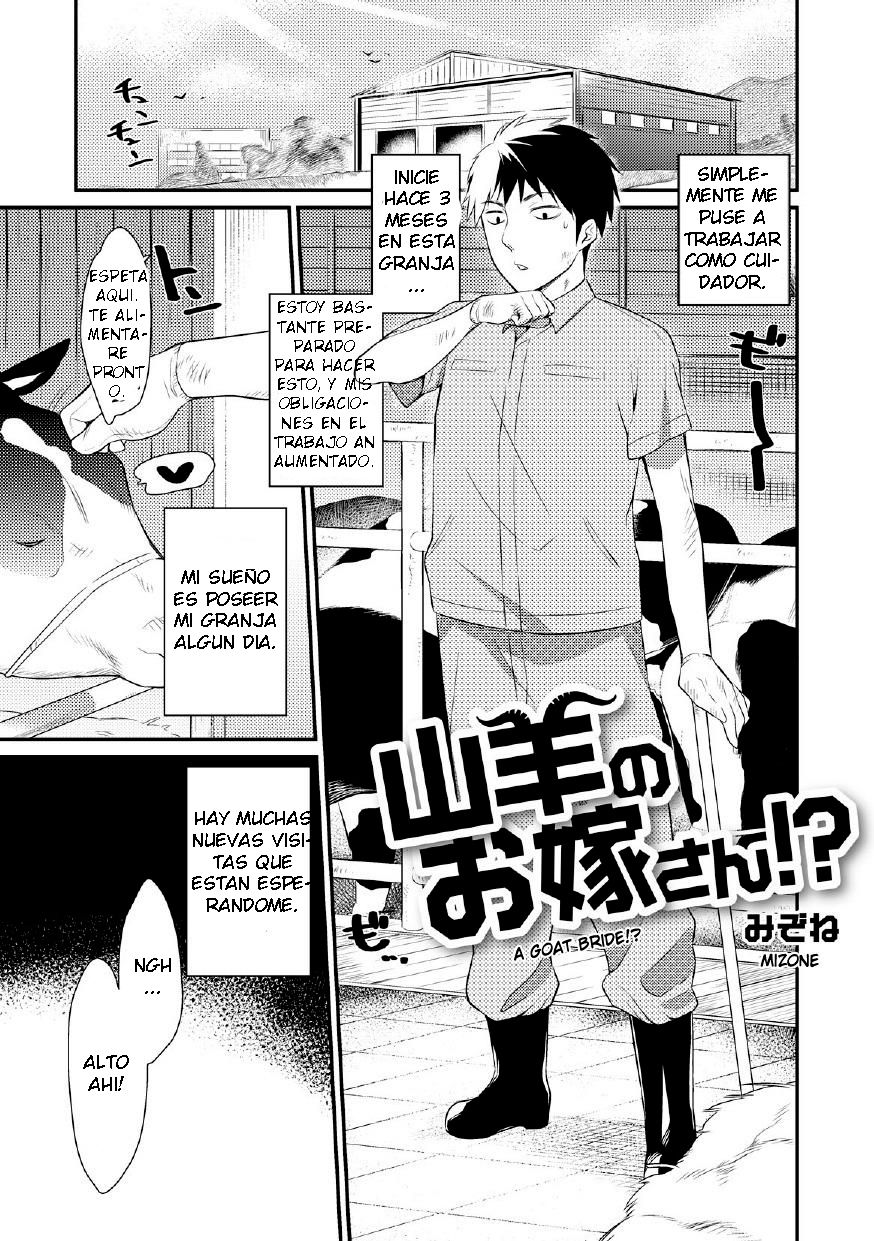 Yagi no Oyomesan! | A Goat Bride! page 1 full