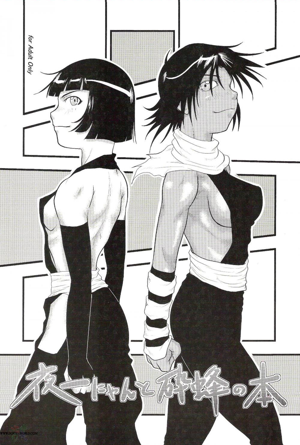 Yoruichi Nyan to Soi Fon no Hon page 1 full