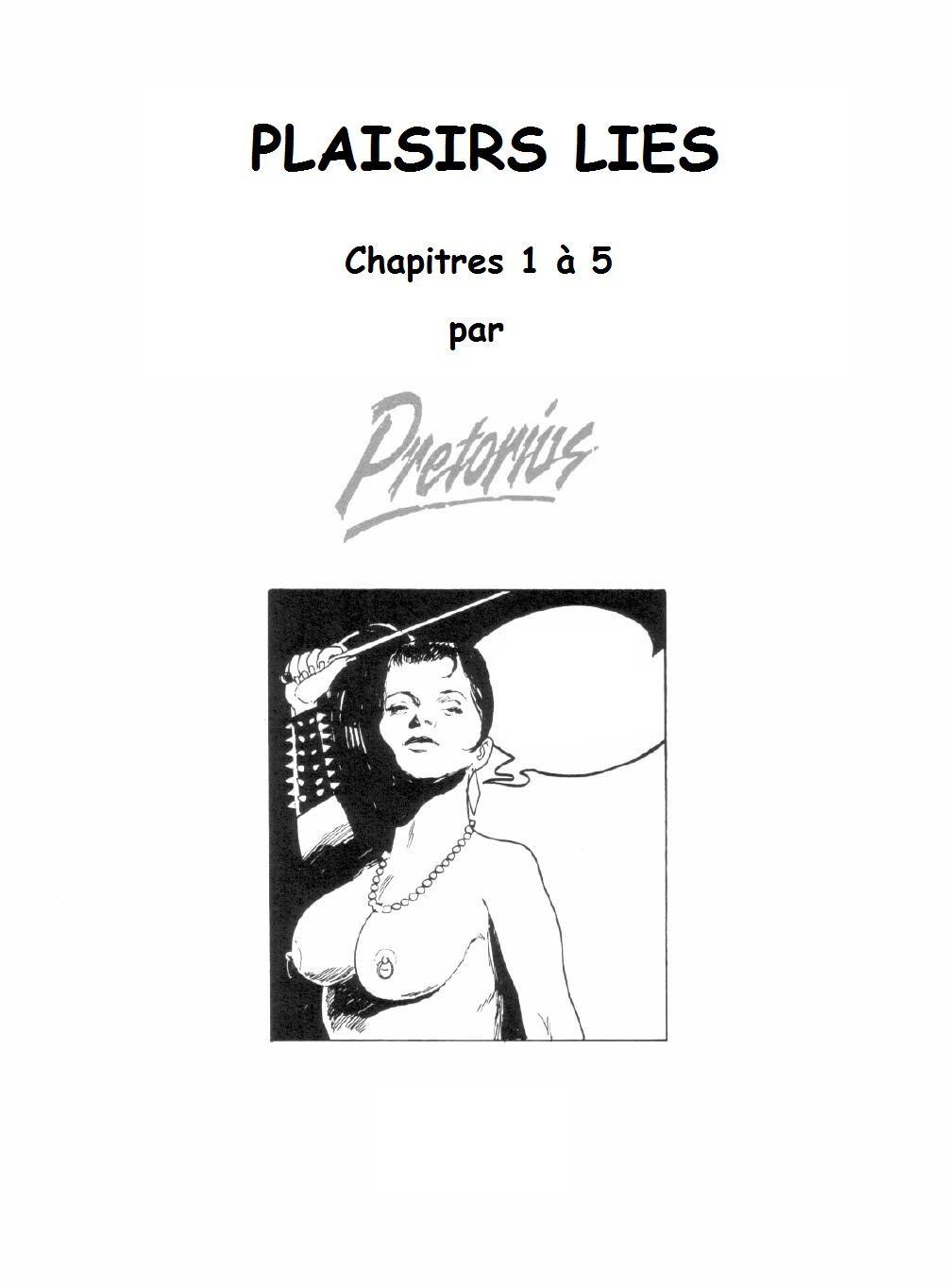 Plaisirs Liés! Chapitre 1 page 3 full