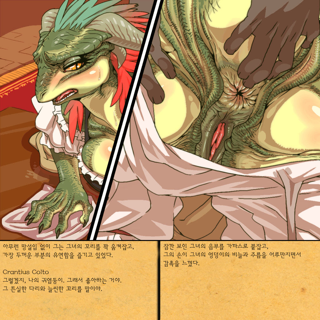 Rurou no Kishi | Exiled Warrior page 5 full