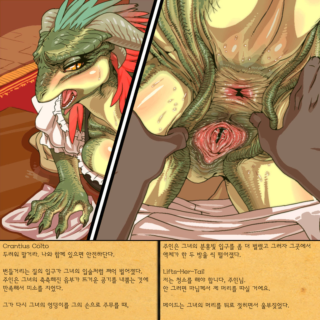 Rurou no Kishi | Exiled Warrior page 7 full