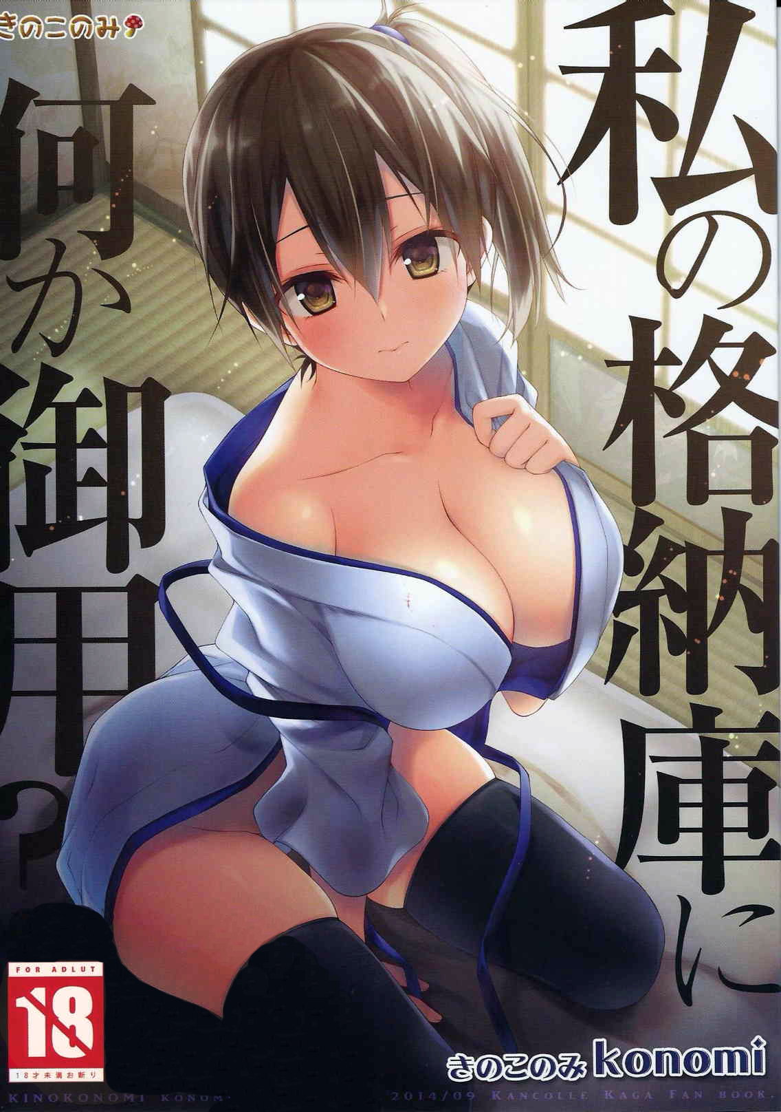 Watashi no Kakunouko ni Nanika Goyou | ¿Hay Algo Malo con mi Hangar de Aviones? page 1 full