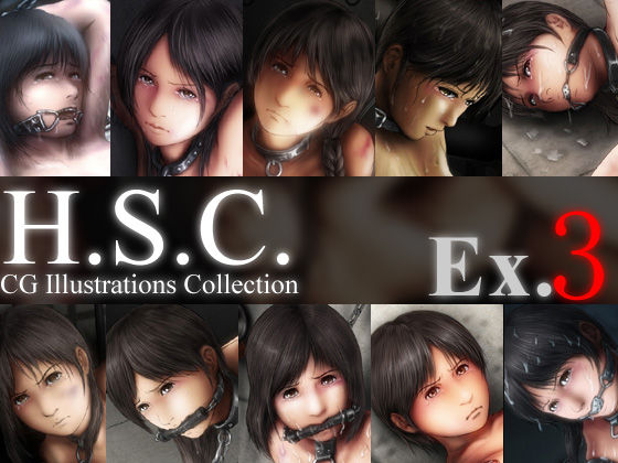 H.S.C. Illust Collection Ex.3 page 1 full