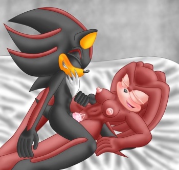 Shadow The Hedgehog Gender Bender Porn - Gender Bender - Other Sonic Char. - IMHentai