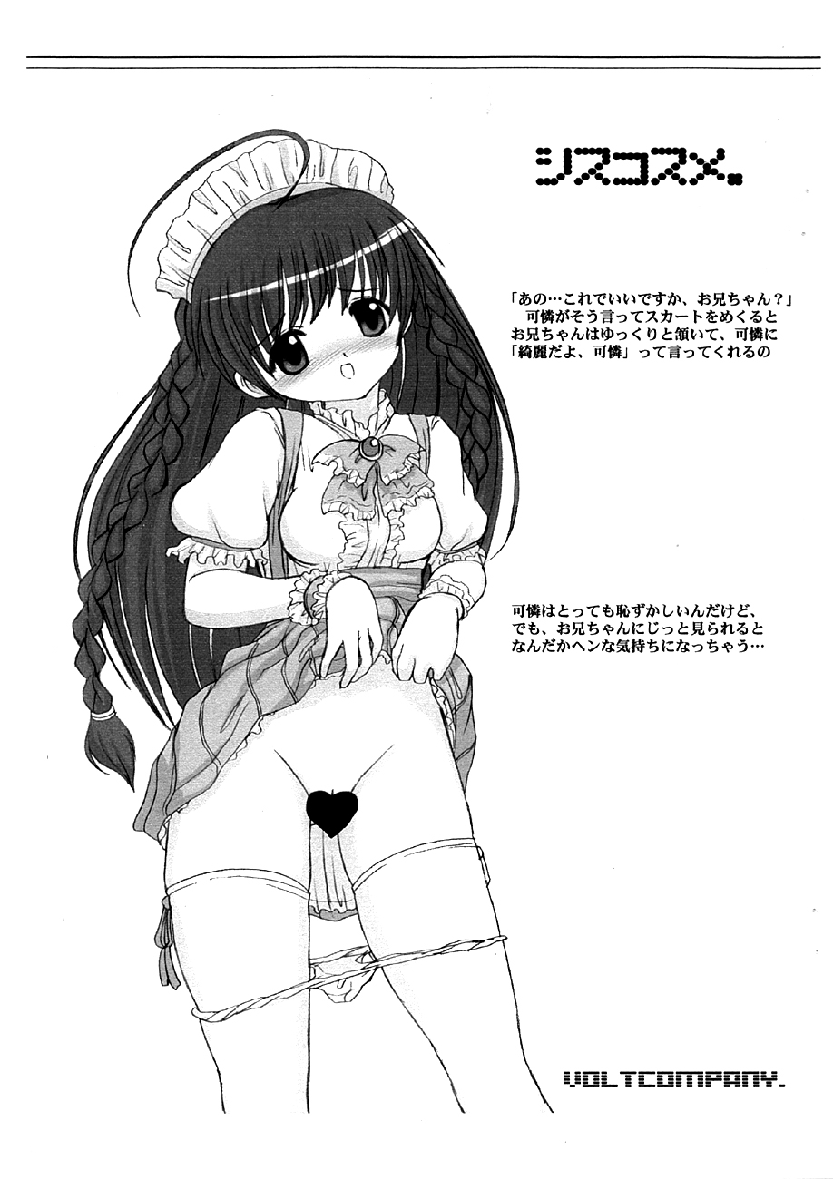 Siscosume page 1 full
